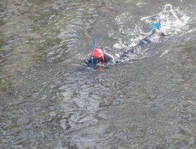 Zdjęcia z naszych spływów kajakowych - splywy-twardzieli-krutynia