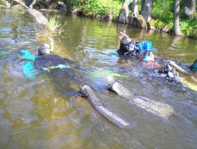 Zdjęcia z naszych spływów kajakowych - lato-2007