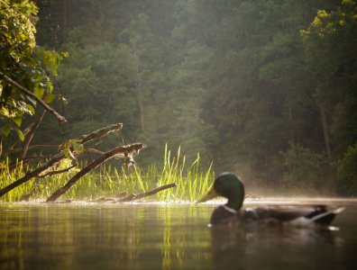 Zdjęcia z naszych spływów kajakowych - konkurs-fotograficzny-2016