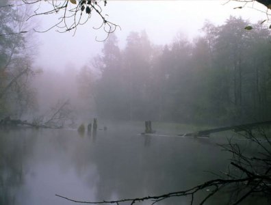 Zdjęcia z naszych spływów kajakowych - krajobrazy