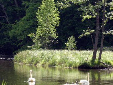 Zdjęcia z naszych spływów kajakowych - krajobrazy