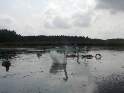 Zdjęcia z naszych spływów kajakowych - krutynia-05-12-08-2007