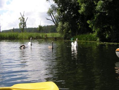 Zdjęcia z naszych spływów kajakowych - krutynia-1-10-08-2005