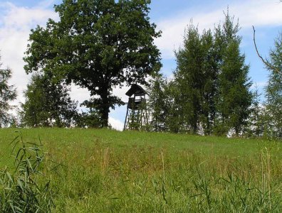 Zdjęcia z naszych spływów kajakowych - krutynia-1-10-08-2005