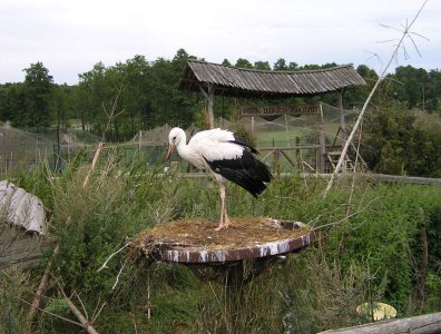 Zdjęcia z naszych spływów kajakowych - krutynia-1-10-08-2005