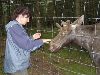 Zdjęcia z naszych spływów kajakowych - krutynia-1-10-08-2005