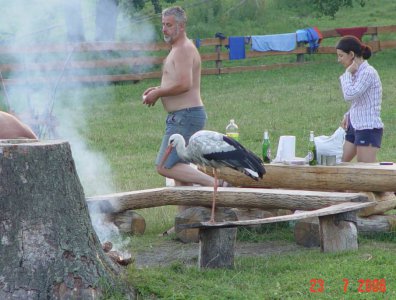 Zdjęcia z naszych spływów kajakowych - krutynia-17-07-26-07-2006-najbardziej-rozrywkowy-splyw-w-historii-firmy