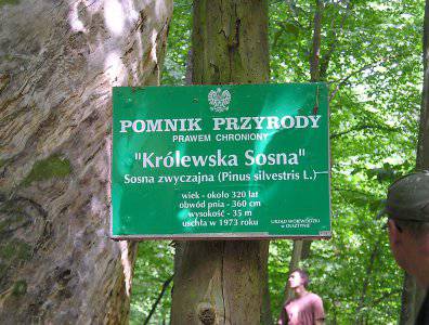 Zdjęcia z naszych spływów kajakowych - krutynia-20-07-27-07-2008