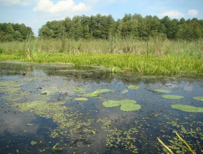 Zdjęcia z naszych spływów kajakowych - krutynia-16-23-08-2010