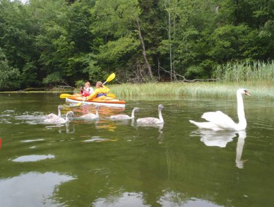 Zdjęcia z naszych spływów kajakowych - boze-cialo-2011