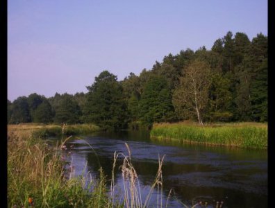 Zdjęcia z naszych spływów kajakowych - wda-22-07-29-07-2007